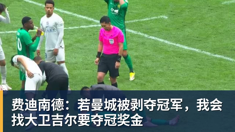 费迪南德：若曼城被剥夺冠军，我会找大卫吉尔要夺冠奖金